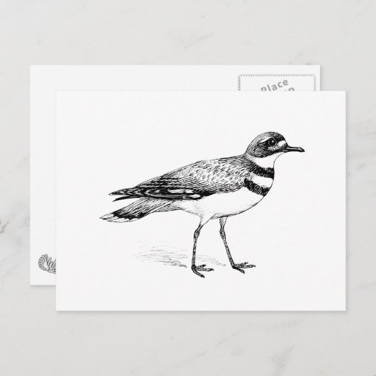 Killhert Bird Sketch Briefkaart (Voorkant / Achterkant)