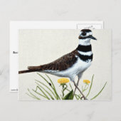 Killhert Briefkaart (Voorkant / Achterkant)