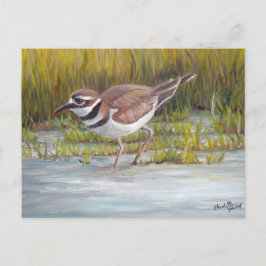 Killhert in Hostetter Boerderij Bird Art Briefkaar Briefkaart