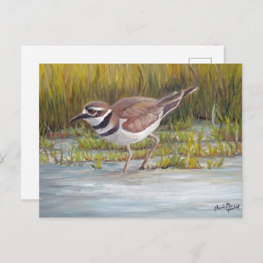 Killhert in Hostetter Boerderij Bird Art Briefkaar Briefkaart (Voorkant / Achterkant)