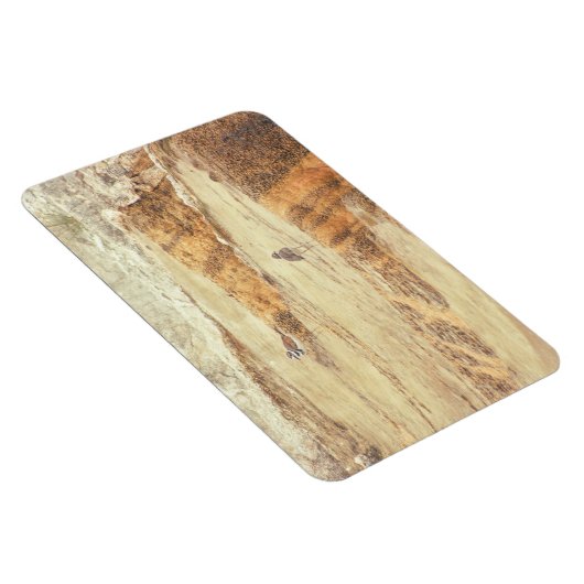 Killhert Magneet (Rechterzijde)