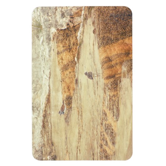 Killhert Magneet (Verticaal)