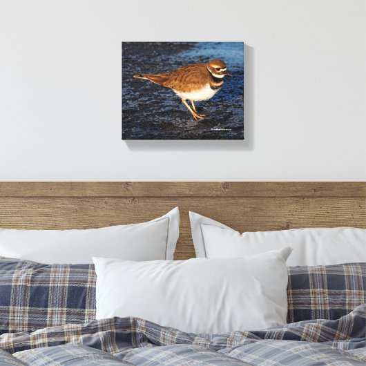 Killhert op het Icy Mudflats Canvas Afdruk (Insitu (Slaapkamer))