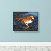 Killhert op het Icy Mudflats Canvas Afdruk (Insitu (Houten vloer))