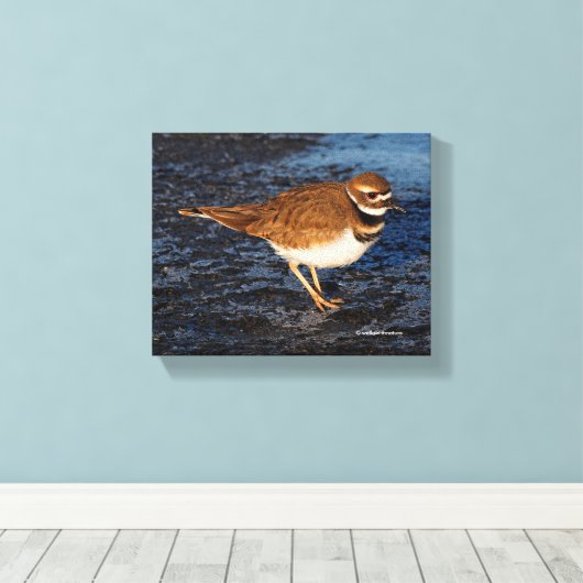 Killhert op het Icy Mudflats Canvas Afdruk (Insitu (Houten vloer))
