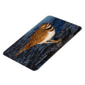 Killhert op het Icy Mudflats Magneet (Linkerzijde)