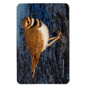 Killhert op het Icy Mudflats Magneet (Verticaal)