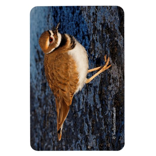 Killhert op het Icy Mudflats Magneet (Verticaal)