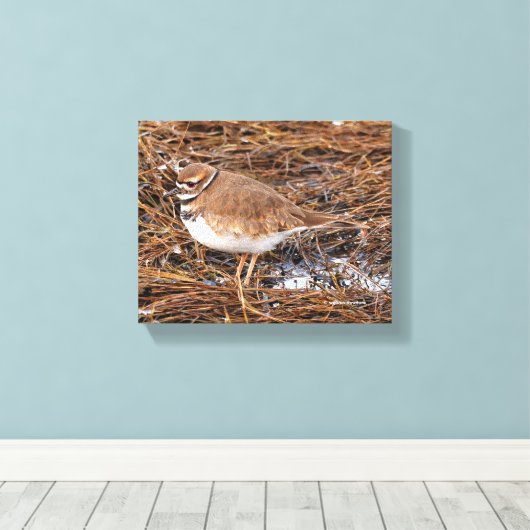 Killherten in de vrieswadden canvas afdruk (Insitu (Houten vloer))