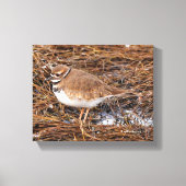 Killherten in de vrieswadden canvas afdruk (Voorkant)