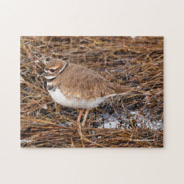 Killherten in de vrieswadden legpuzzel