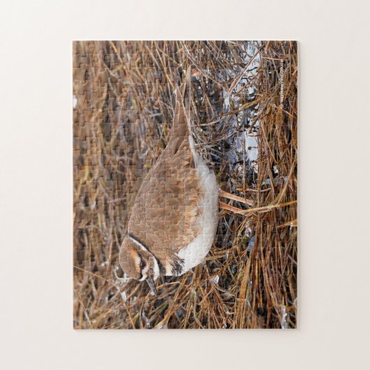 Killherten in de vrieswadden legpuzzel (Verticaal)