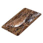 Killherten in de vrieswadden magneet (Linkerzijde)