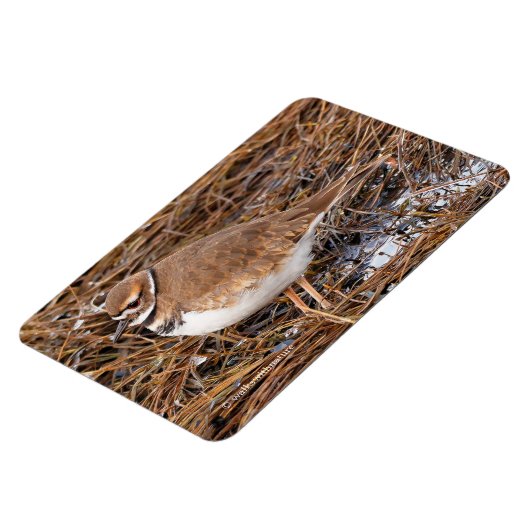 Killherten in de vrieswadden magneet (Linkerzijde)