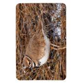 Killherten in de vrieswadden magneet (Verticaal)