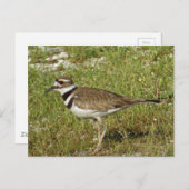 Killhertenfoto Briefkaart (Voorkant / Achterkant)