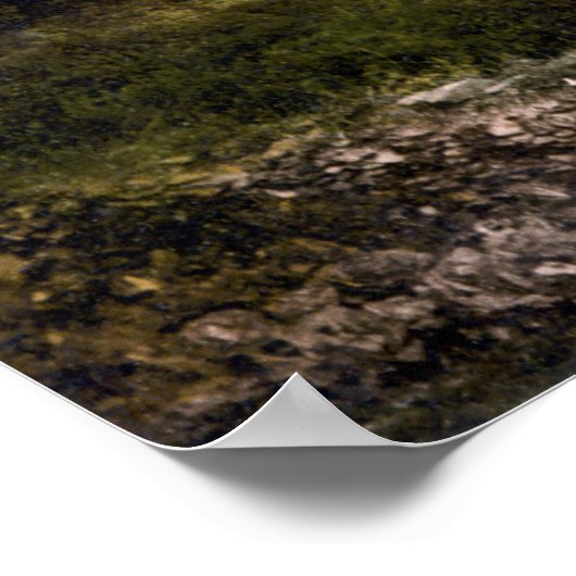 Killiney Hill & Dalkey, Co. Dublin C1905 Poster (Hoek)