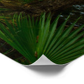 Kilpatrick Hammock, Kissimmee Prairie Preserve, FL Poster (Hoek)