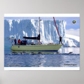 Kim en Antarctique Poster (Voorkant)