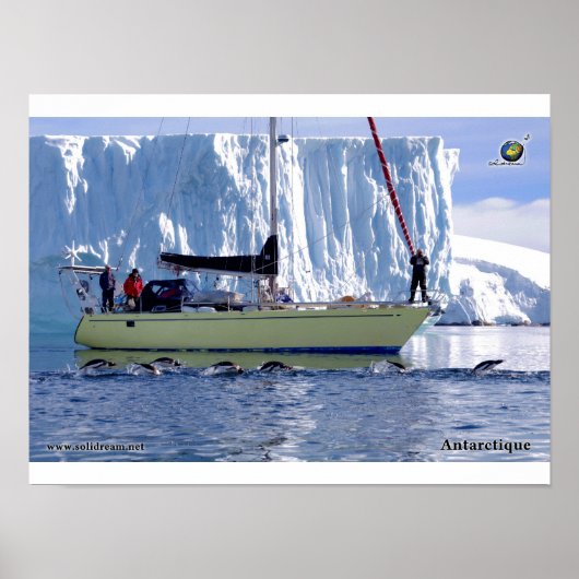 Kim en Antarctique Poster (Voorkant)