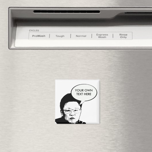 Kim Jong Il Magneet (Insitu (Vaatwasser))