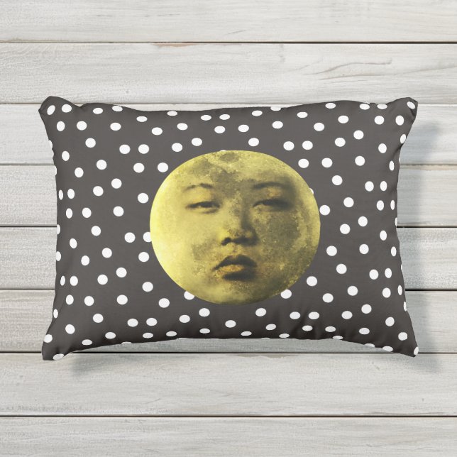 Kim Jong Moon Grappig Buitenkussen (Voorkant)