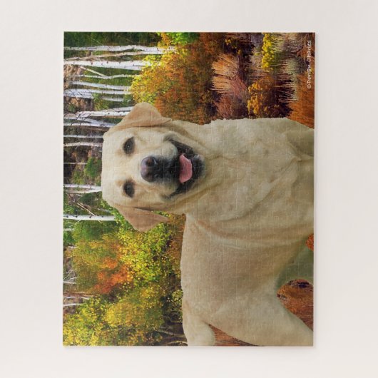 "Kimba" Legpuzzel (Verticaal)