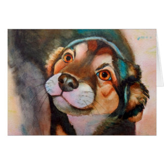 Kimba Shepherd Terrier Dog Mix