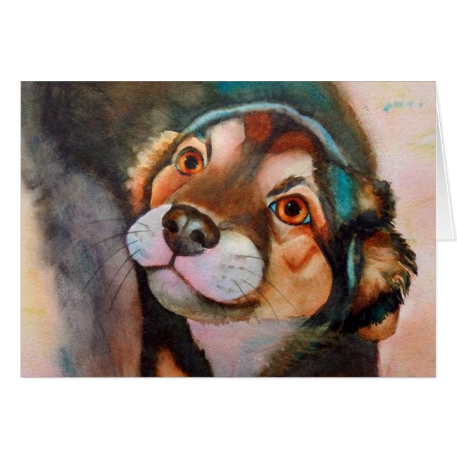 Kimba, Shepherd Terrier Mix (Voorkant Horizontaal)