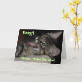 Kimber Burping Cat Verjaardag Kaart (Gele Bloem)