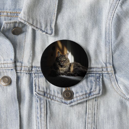 Kimber Cat Slivers of Sunlight Button (In situ)
