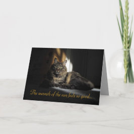 Kimber Cat Slivers of Sunlight I Love You Card Kaart