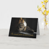 Kimber Cat Slivers of Sunlight I Love You Card Kaart (Gele Bloem)