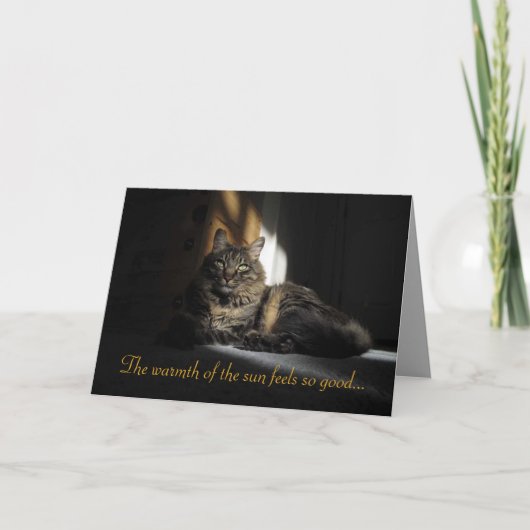Kimber Cat Slivers of Sunlight I Love You Card Kaart (Voorkant)