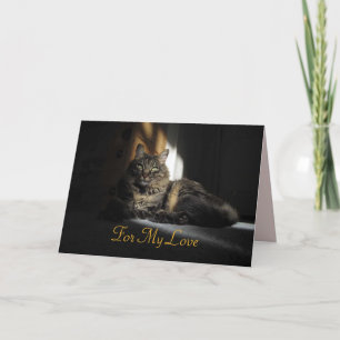 Kimber Cat Slivers of Sunlight Jubileum Card Kaart