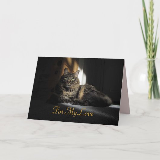 Kimber Cat Slivers of Sunlight Jubileum Card Kaart (Voorkant)