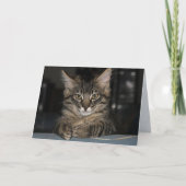 Kimber Cat Verbrand jezelf niet Verjaardag Kaart (Voorkant)