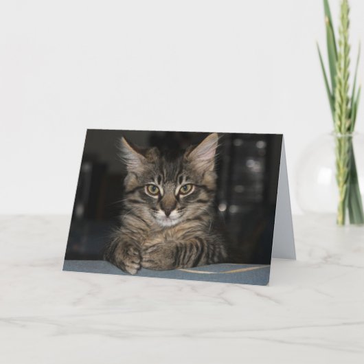 Kimber Cat Verbrand jezelf niet Verjaardag Kaart (Voorkant)
