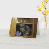 Kimber in het blanco Wenskaart Kaart (Gele Bloem)