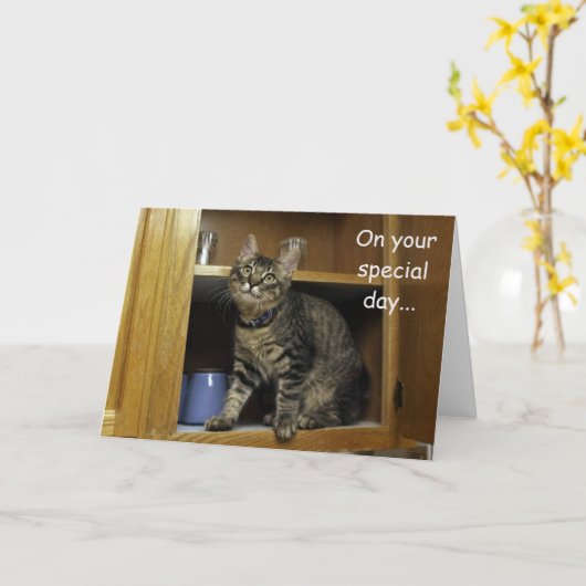 Kimber Kitten in de Moederdag Kaart (Gele Bloem)