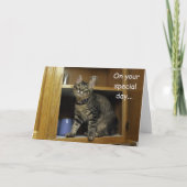 Kimber Kitten in de Moederdag Kaart (Voorkant)