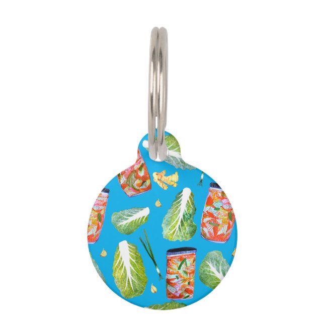 Kimchi Ingredients Spicy Fermentation Waterverf Huisdierpenning (Voorkant)