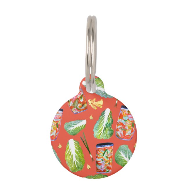 Kimchi Ingredients Spicy Fermentation Waterverf Huisdierpenning (Voorkant)