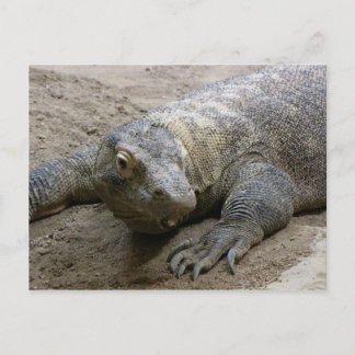 Kimodo Dragon Briefkaart