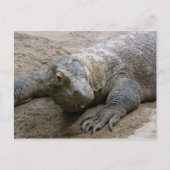 Kimodo Dragon Briefkaart (Voorkant)