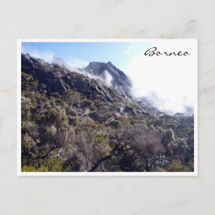 kinabalu borneo natuur briefkaart