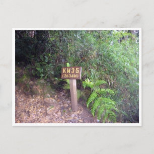 kinabalu km 3.5 briefkaart