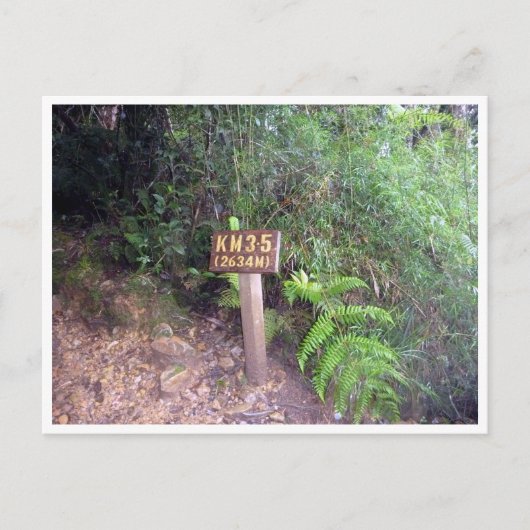 kinabalu km 3.5 briefkaart (Voorkant)