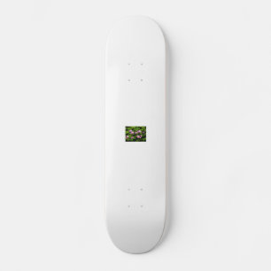 kinafex homepage zazzle.com en marktplaats persoonlijk skateboard