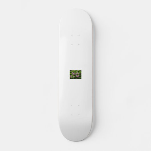 kinafex homepage zazzle.com en marktplaats skateboard (Voorkant)